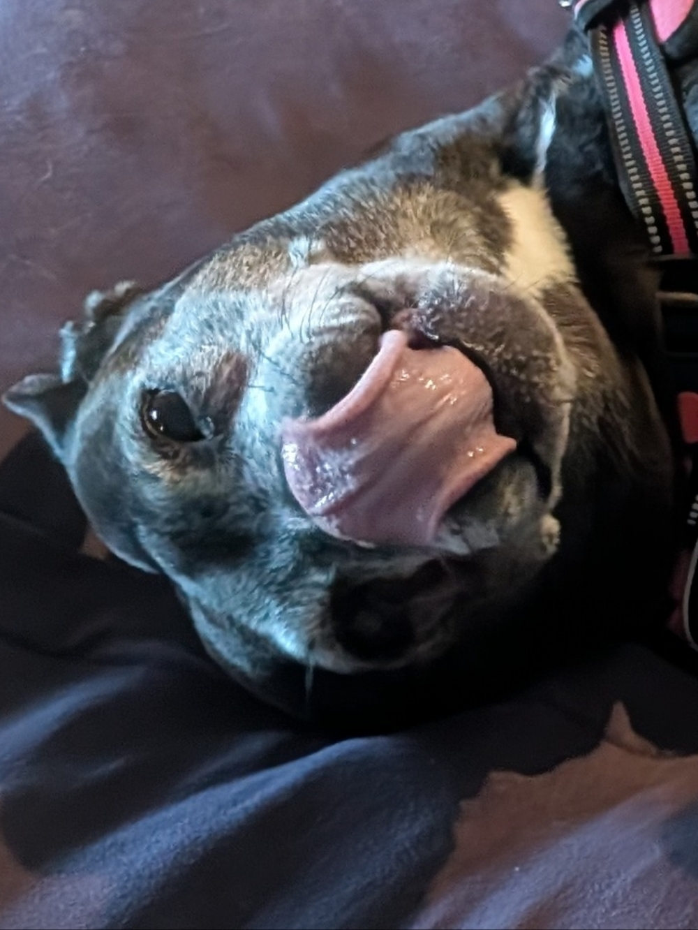 Meet your Posher, Miley